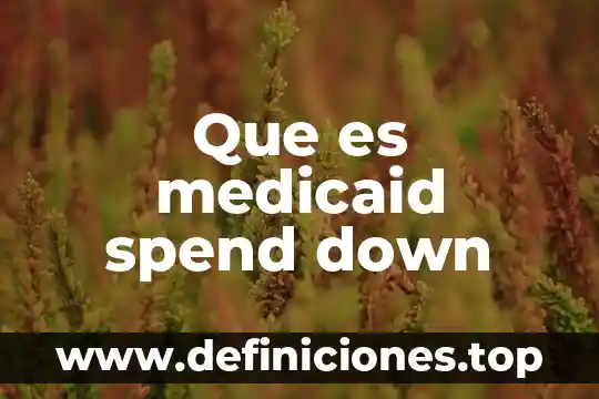 Que es medicaid spend down