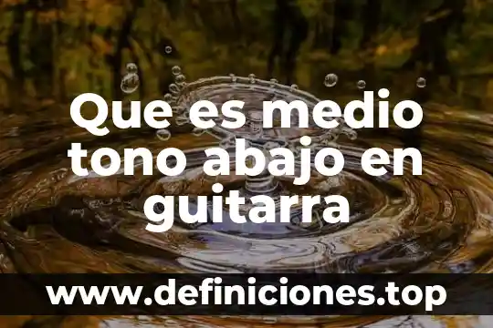 Que es el medio macconkey 8 Que es medio tono abajo en guitarra