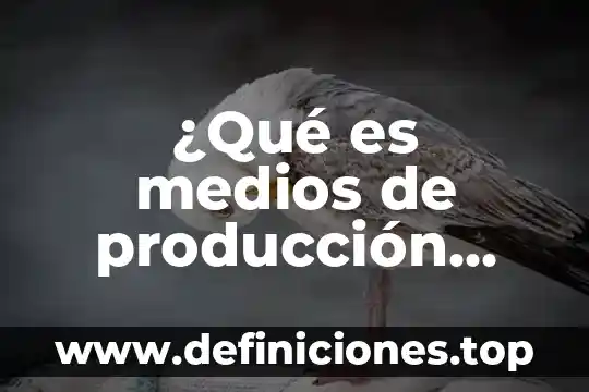 ¿Qué es medios de producción según Carlos Marx?