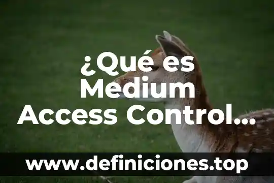 Que es el autor con dominio del hecho 4 ¿Qué es Medium Access Control autor?
