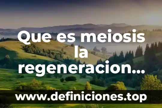 Meiosis que es sintesis celular 3 Que es meiosis la regeneracion celular o variabilidad