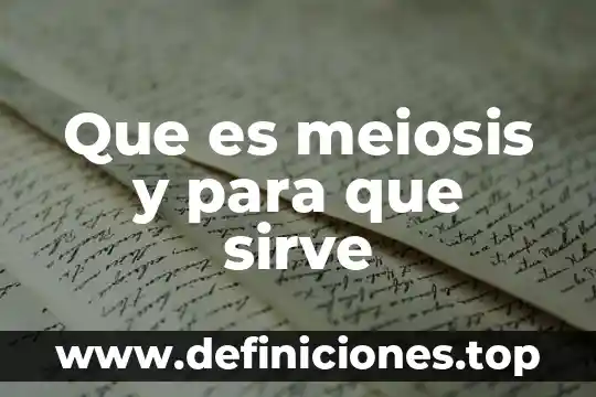 Meiosis que es sintesis celular 5 Que es meiosis y para que sirve