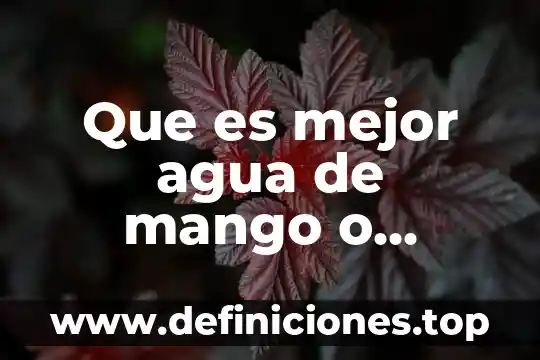 Que es mejor agua de mango o lucuado de mango