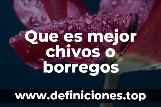 Que es tecnologia naval 5 Que es mejor chivos o borregos