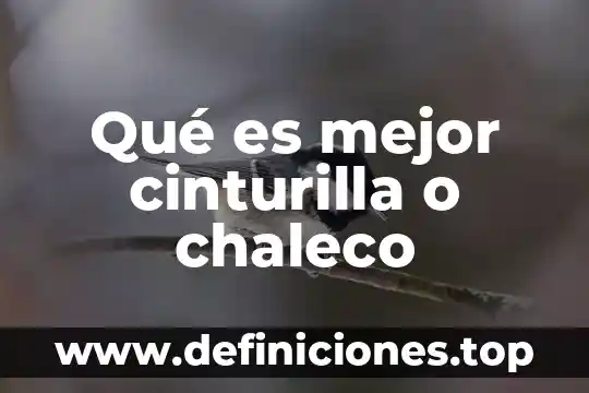 Qué es mejor WCDMA o HSPA+ 4 Qué es mejor cinturilla o chaleco