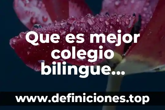 Que es mejor ricoh o kyocera 3 Que es mejor colegio bilingue quetzal