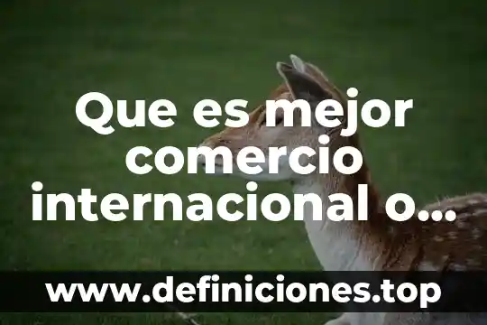 Que es mejor comercio internacional o relaciones internacionales