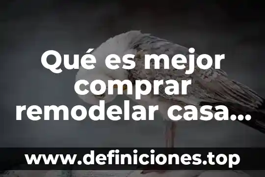 Que es la nueva españa para primaria 7 Qué es mejor comprar remodelar casa o comprarla nueva
