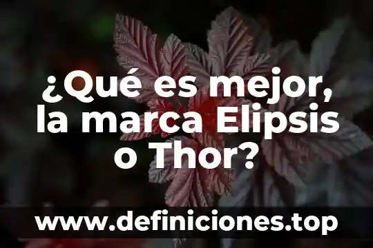 Qué es lo que ofrece la marca Nike 5 ¿Qué es mejor, la marca Elipsis o Thor?