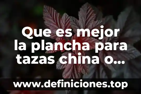 Que es mejor la plancha para tazas china o japonesa