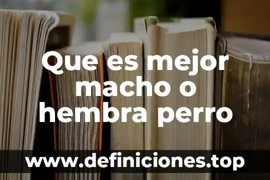 Que es mejor macho o hembra perro