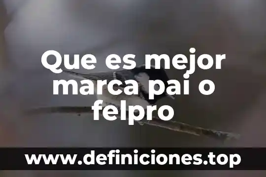Qué es lo que ofrece la marca Nike 8 Que es mejor marca pai o felpro