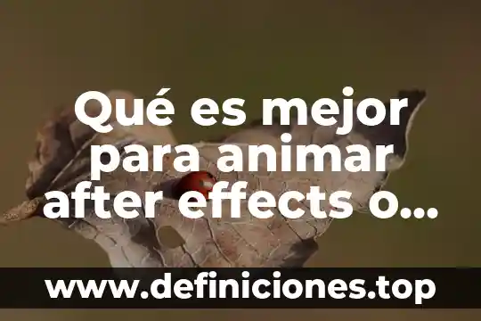 Qué es mejor para animar after effects o animate
