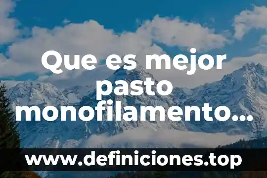 Que es mejor ricoh o kyocera 5 Que es mejor pasto monofilamento o fibrilado