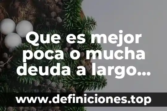 Que es la seguridad social corto plazo 5 Que es mejor poca o mucha deuda a largo plazo