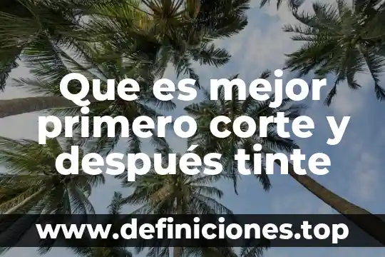 Que es estatuto de la corte 3 Que es mejor primero corte y después tinte