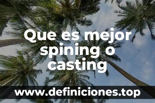 Que es mejor ricoh o kyocera 7 Que es mejor spining o casting