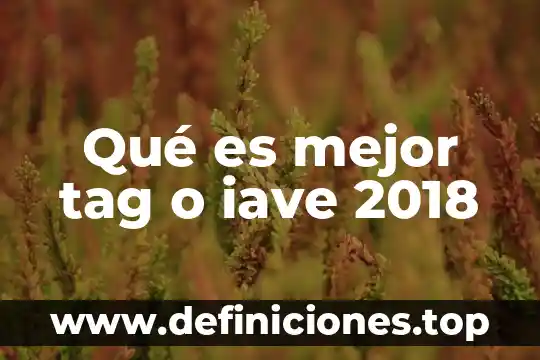 Qué es mejor tag o iave 2018