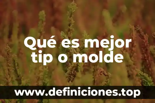 Qué es mejor tip o molde