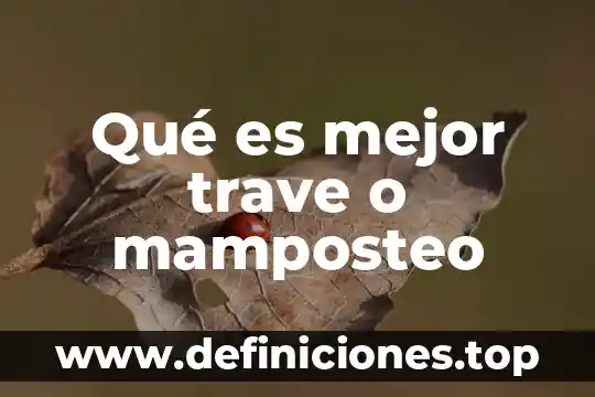 Qué es mejor trave o mamposteo