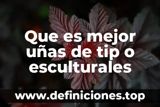 Que es la tecnica de uñas 3d 5 Que es mejor uñas de tip o esculturales