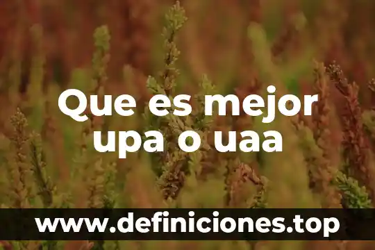 Qué es la base de datos del inegi 3 Que es mejor upa o uaa