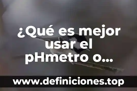 Qué es mejor usar hilo o cachetero 7 ¿Qué es mejor usar el pHmetro o tiras reactivas?