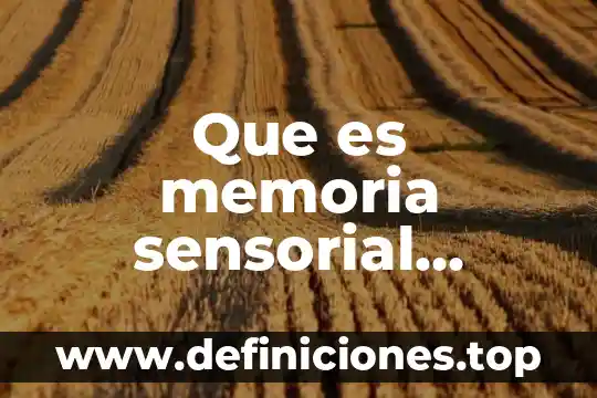 Que es inclusion en psicologia 3 Que es memoria sensorial psicologia