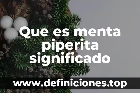 Qué autores dicen que es importante evaluar frida díaz barriga 8 Que es menta piperita significado
