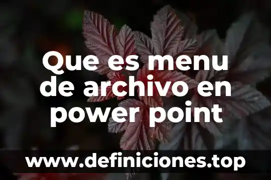 Que es menu de archivo en power point