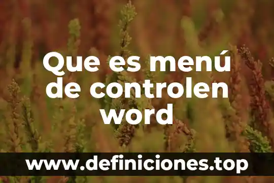 Qué es un menú en el servicio de alimentación 8 Que es menú de controlen word