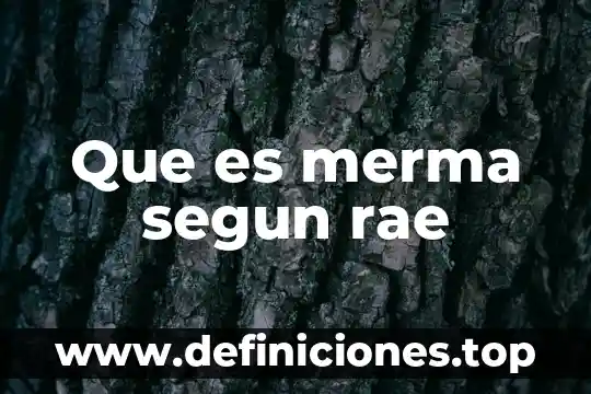 Qué es la lógica en el diccionario rae 5 Que es merma segun rae