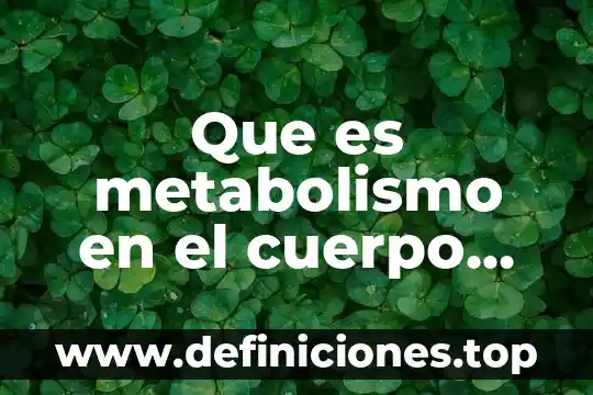 Que es metabolismo en el cuerpo humano
