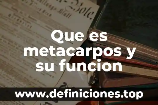 Que es un generador de doble induccion y como funcion 8 Que es metacarpos y su funcion