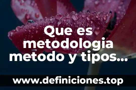 Que es metodologia metodo y tipos de metodos