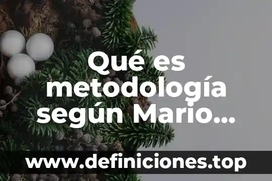 Qué es metodología según Mario Bunge