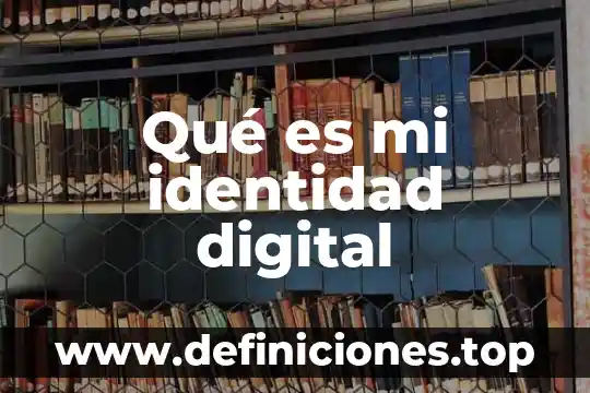 Que es un termometro digital de varilla 6 Qué es mi identidad digital