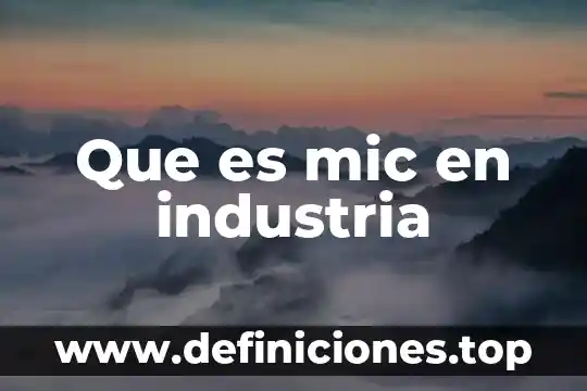 Que es la industria astillera 6 Que es mic en industria