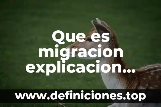 Qué es la santidad explicación para niños 8 Que es migracion explicacion para niños