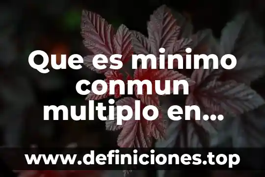 Que es minimo conmun multiplo en pocas palabras