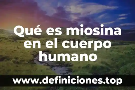 Qué es miosina en el cuerpo humano