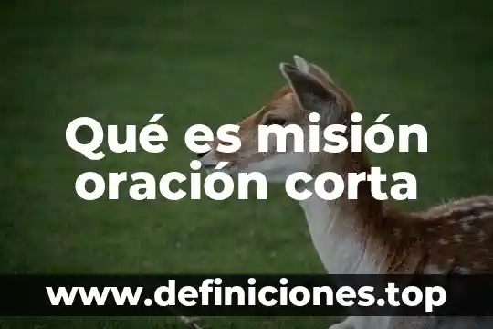 Para que es el corta fuegos antivirus 5 Qué es misión oración corta