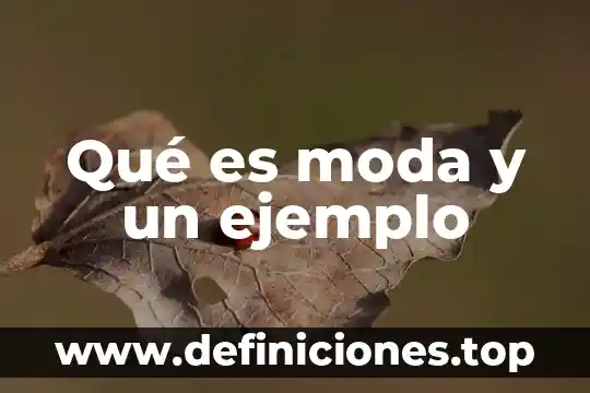 Que es arqueolítico caracteristicas 4 Qué es moda y un ejemplo