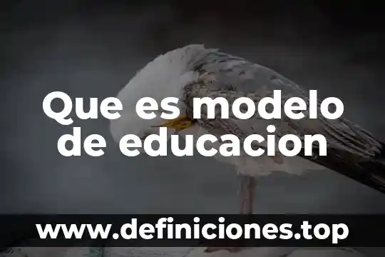 Que es modelo de educacion