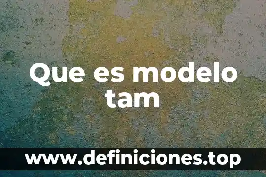 Que es modelo tam