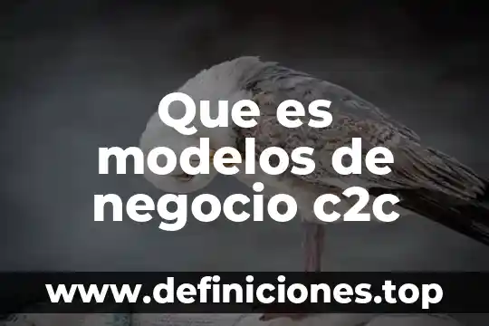 Que es un modelos hidraulicos 4 Que es modelos de negocio c2c