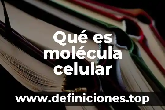 Que es mayor la molecula o la celula 3 Qué es molécula celular
