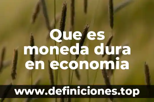 Que es moneda dura en economia