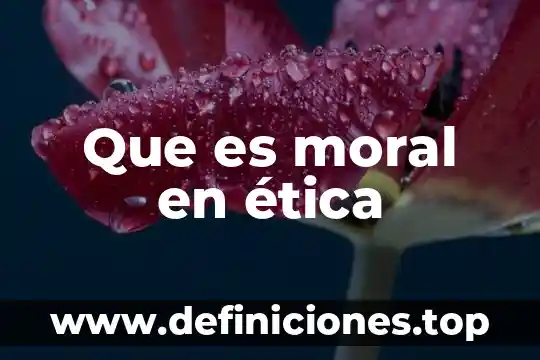 Que es areté etica 4 Que es moral en ética