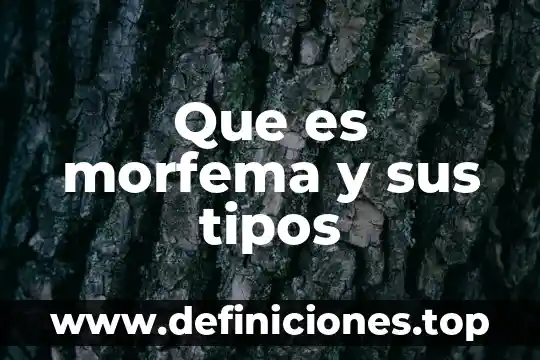 Que es tipos de adpcion 3 Que es morfema y sus tipos